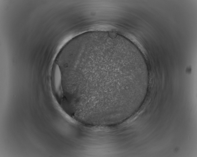 X0000090621083200707311239