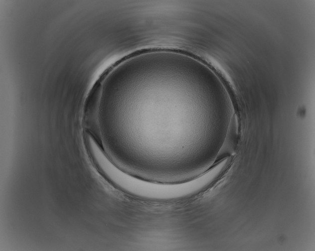 X0000090621085200707311239