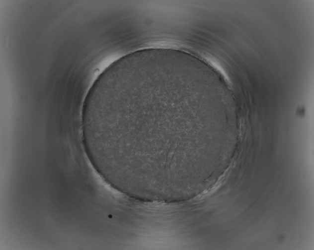 X0000090621087200707311239