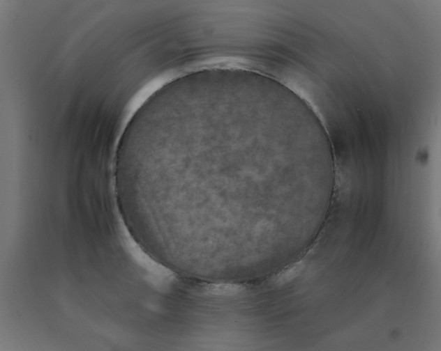 X0000090621090200707311239
