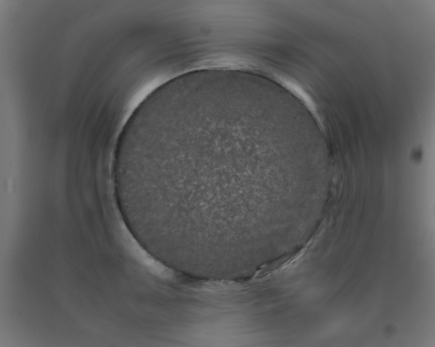 X0000090621091200707311239