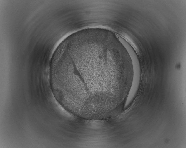 X0000090621092200707311239