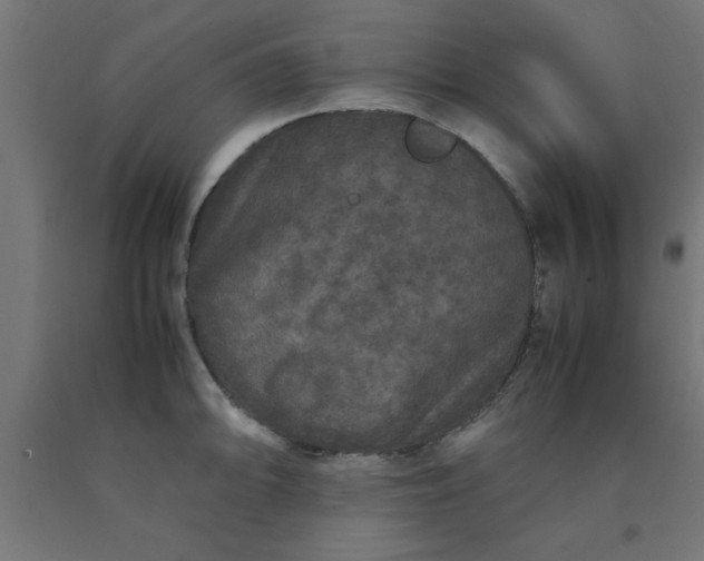X0000090621094200707311239
