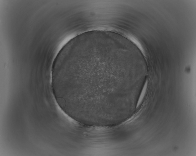 X0000090621095200707311239