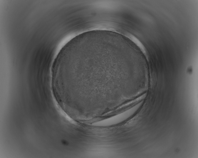 X0000090621096200707311239
