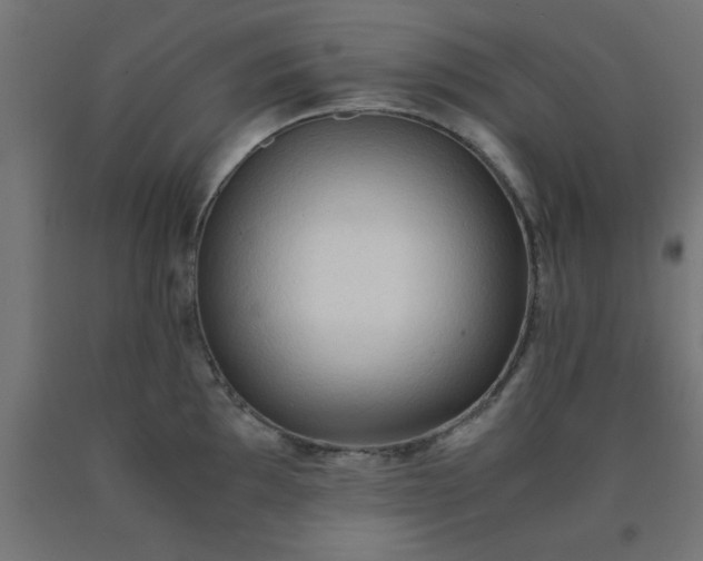 X0000090621097200707311239