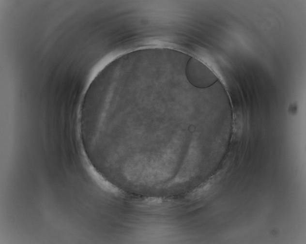 X0000090621098200707311239