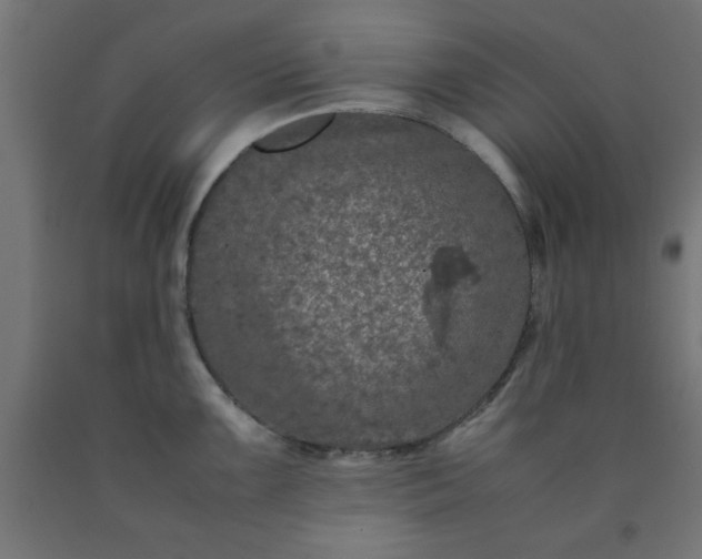 X0000090621099200707311239