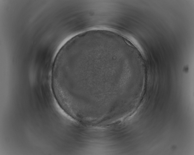 X0000090621100200707311239