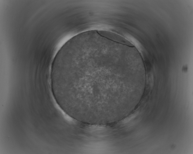 X0000090621103200707311239