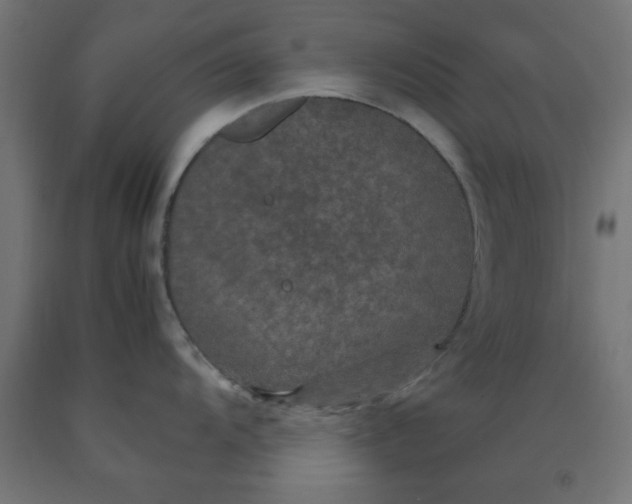 X0000090621104200707311239