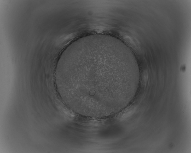 X0000090621105200707311238