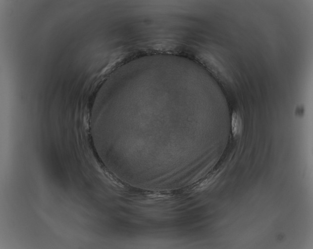 X0000090621107200707311238