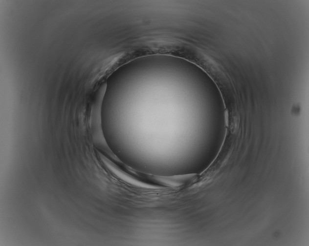 X0000090621108200707311238
