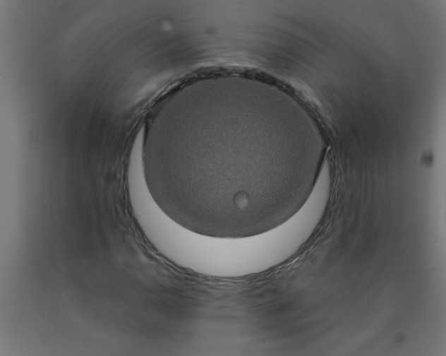 X0000090621110200707311238