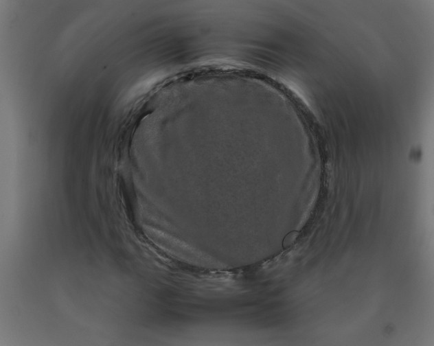 X0000090621111200707311238