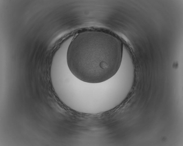 X0000090621112200707311238