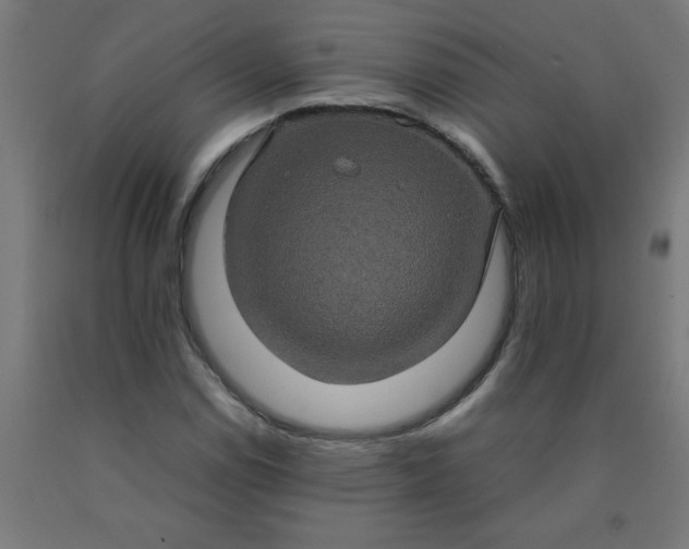X0000090621114200707311238