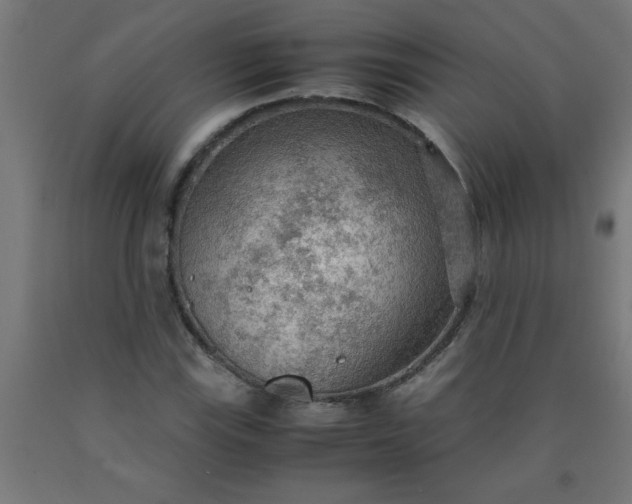 X0000090621115200707311238
