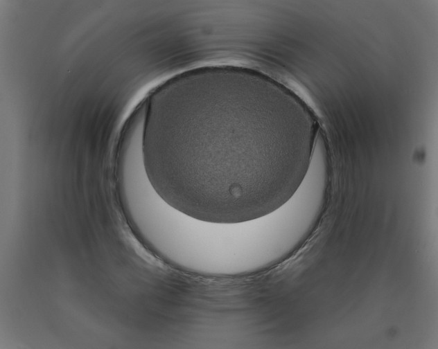 X0000090621116200707311238