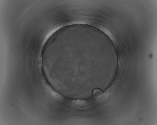 X0000090621119200707311238