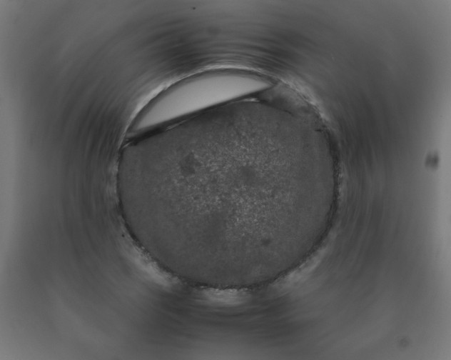X0000090621121200707311238
