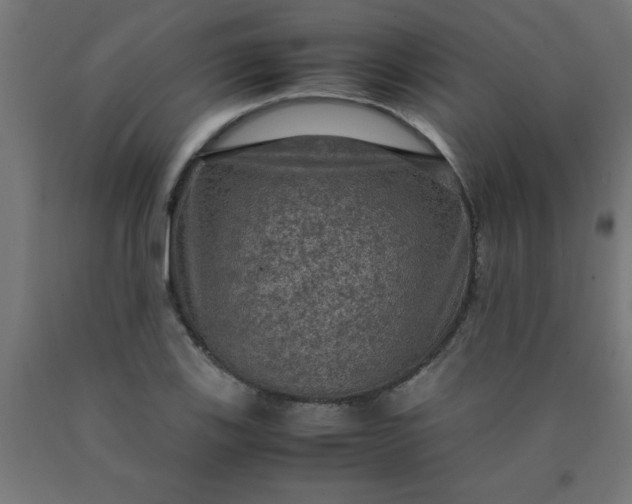X0000090621123200707311238