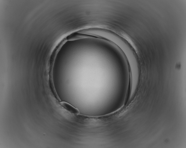 X0000090621124200707311238