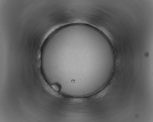 X0000090621126200707311238