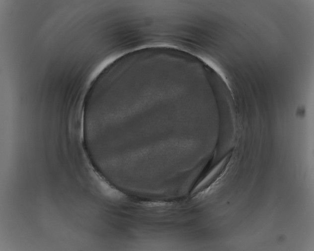 X0000090621127200707311238