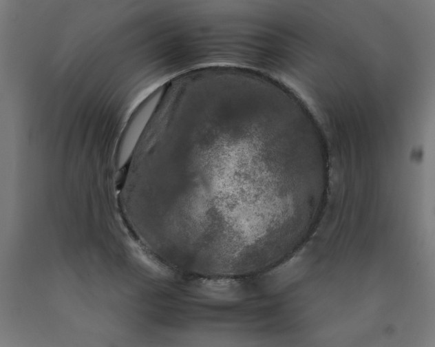 X0000090621129200707311238