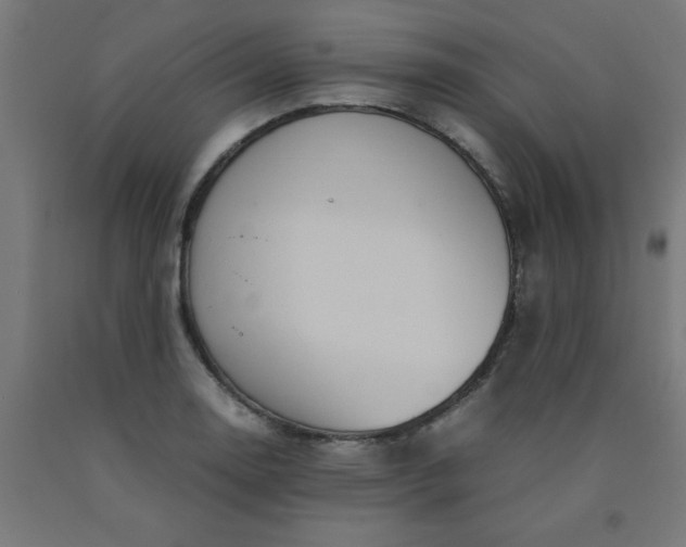 X0000090621130200707311238