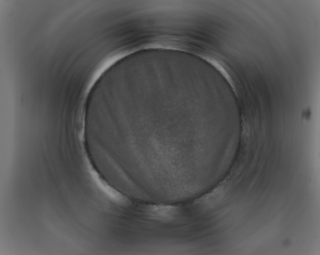 X0000090621131200707311238