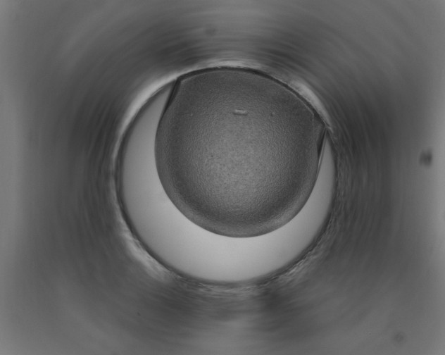 X0000090621132200707311238
