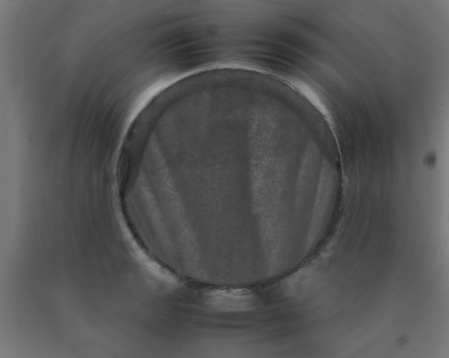 X0000090621133200707311238