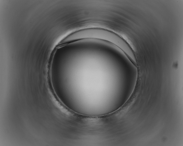 X0000090621134200707311238