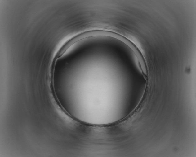 X0000090621136200707311238