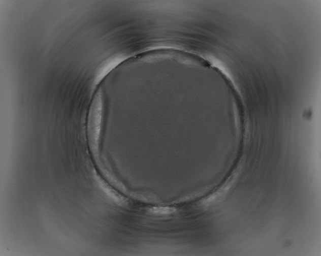 X0000090621137200707311238