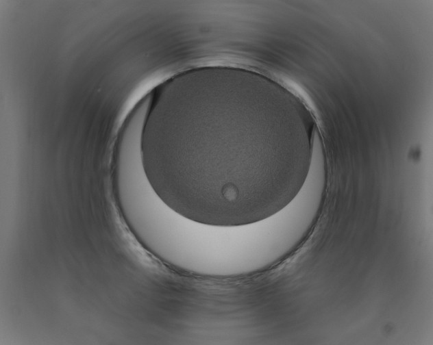 X0000090621138200707311238