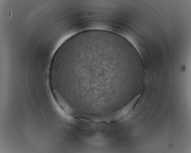 X0000090621139200707311238