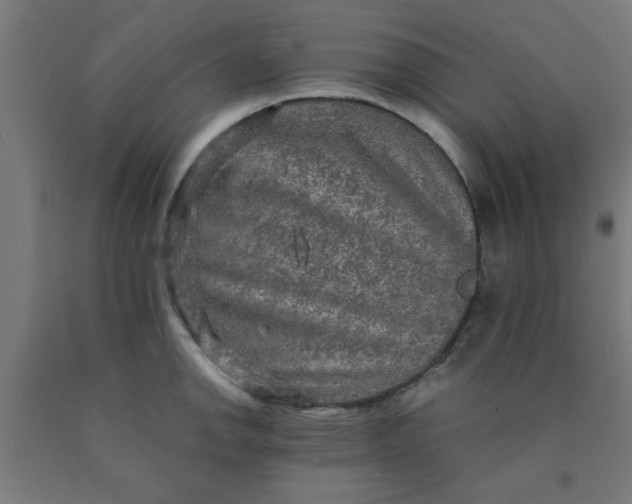 X0000090621142200707311238