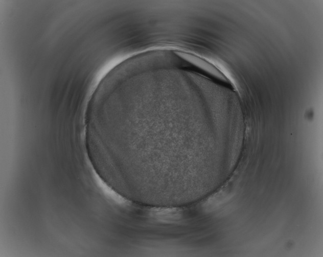 X0000090621143200707311238