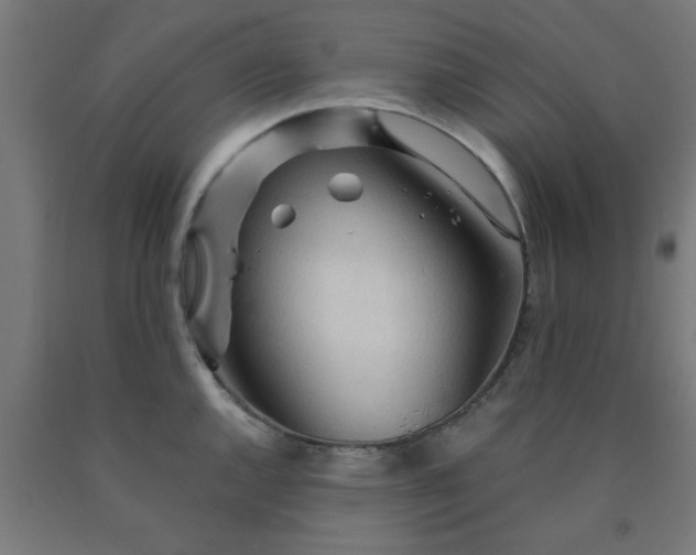 X0000090621144200707311238