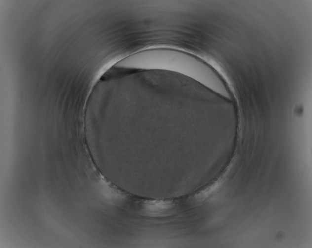X0000090621145200707311238