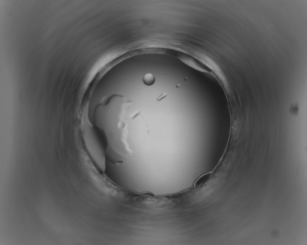 X0000090621146200707311238