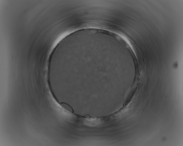X0000090621147200707311238