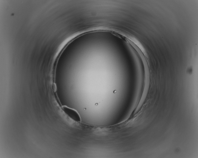 X0000090621148200707311238