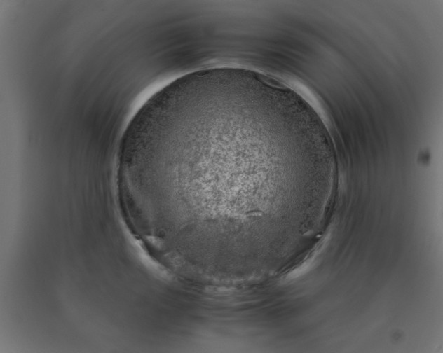 X0000090621149200707311238
