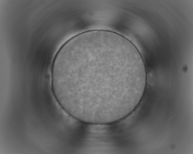 X0000090621150200707311238