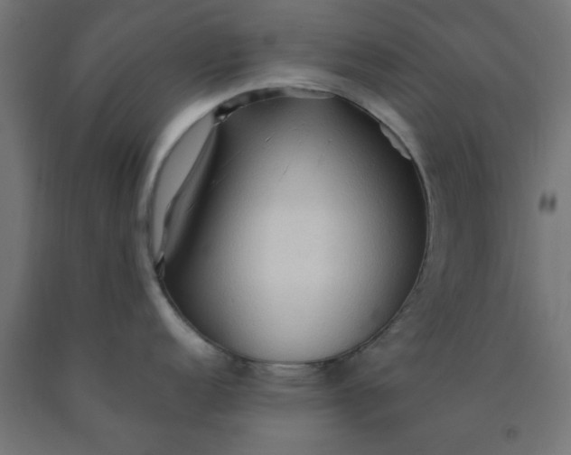 X0000090621152200707311239